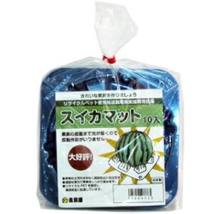 すいか　ミニクッション Amazon｜座布団 折りたたみ 背もたれ 座椅子 スイカ 座面
